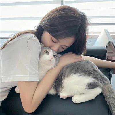 飞狗巴迪